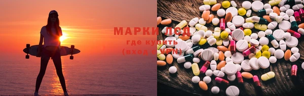 ПСИЛОЦИБИНОВЫЕ ГРИБЫ Алексеевка