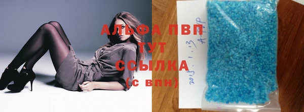 дмт Пересвет