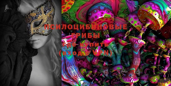 бутират Алзамай
